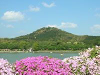 花立山と城山公園